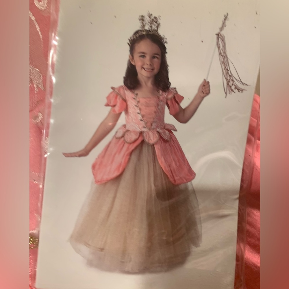 Beautiful Princess costume